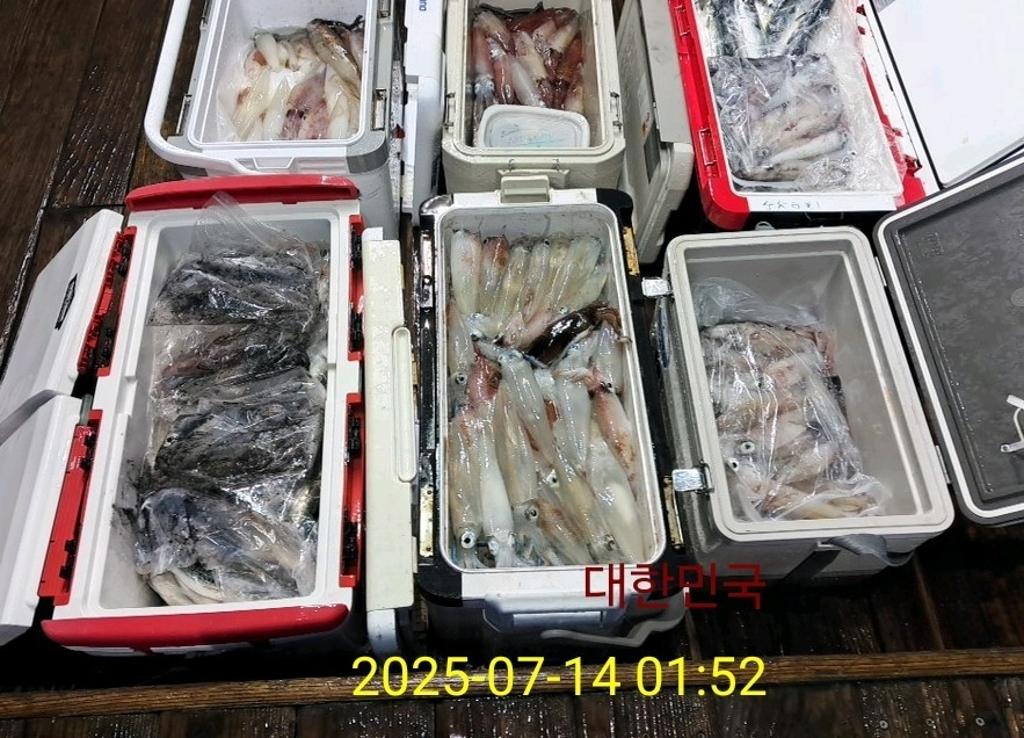 기타 (직접입력), 삼포대교낚시, 낚시뚜