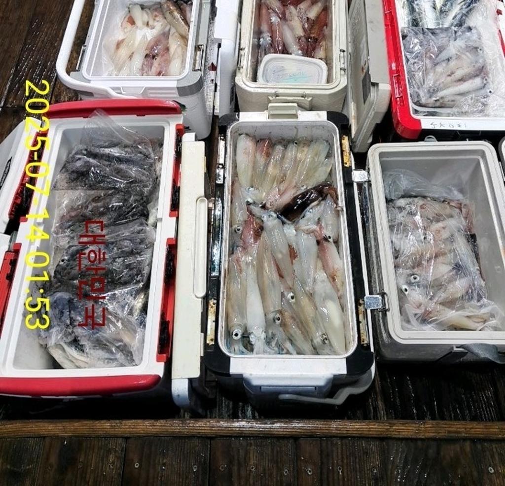 기타 (직접입력), 삼포대교낚시, 낚시뚜