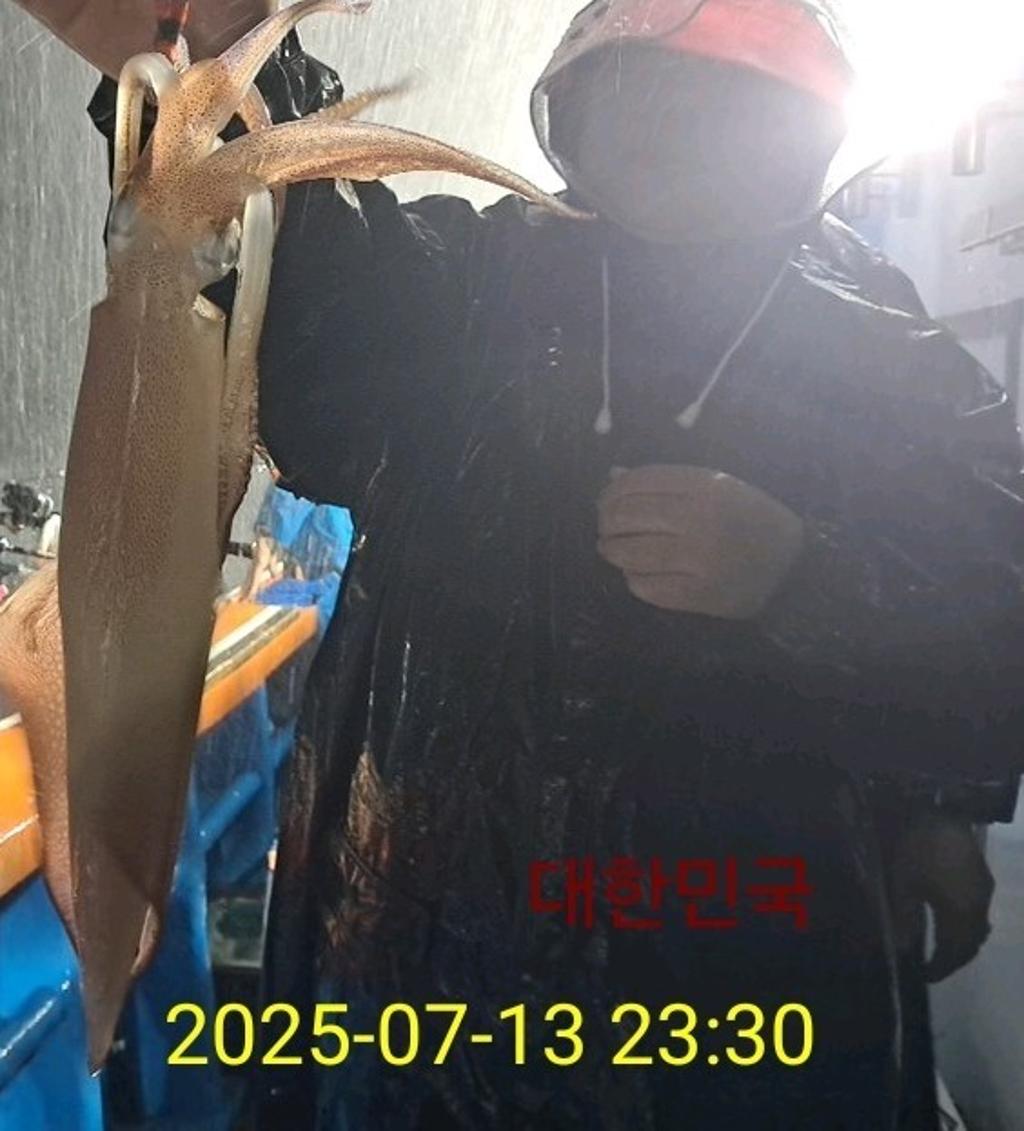 기타 (직접입력), 삼포대교낚시, 낚시뚜