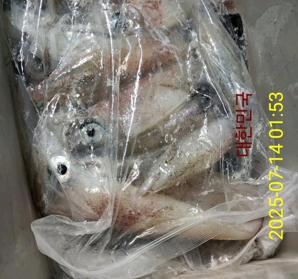 기타 (직접입력), 삼포대교낚시, 낚시뚜