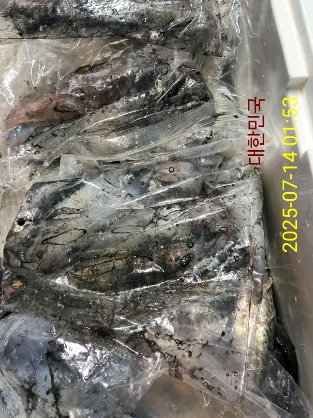 기타 (직접입력), 삼포대교낚시, 낚시뚜