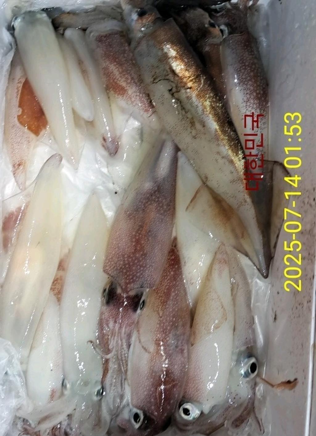 기타 (직접입력), 삼포대교낚시, 낚시뚜