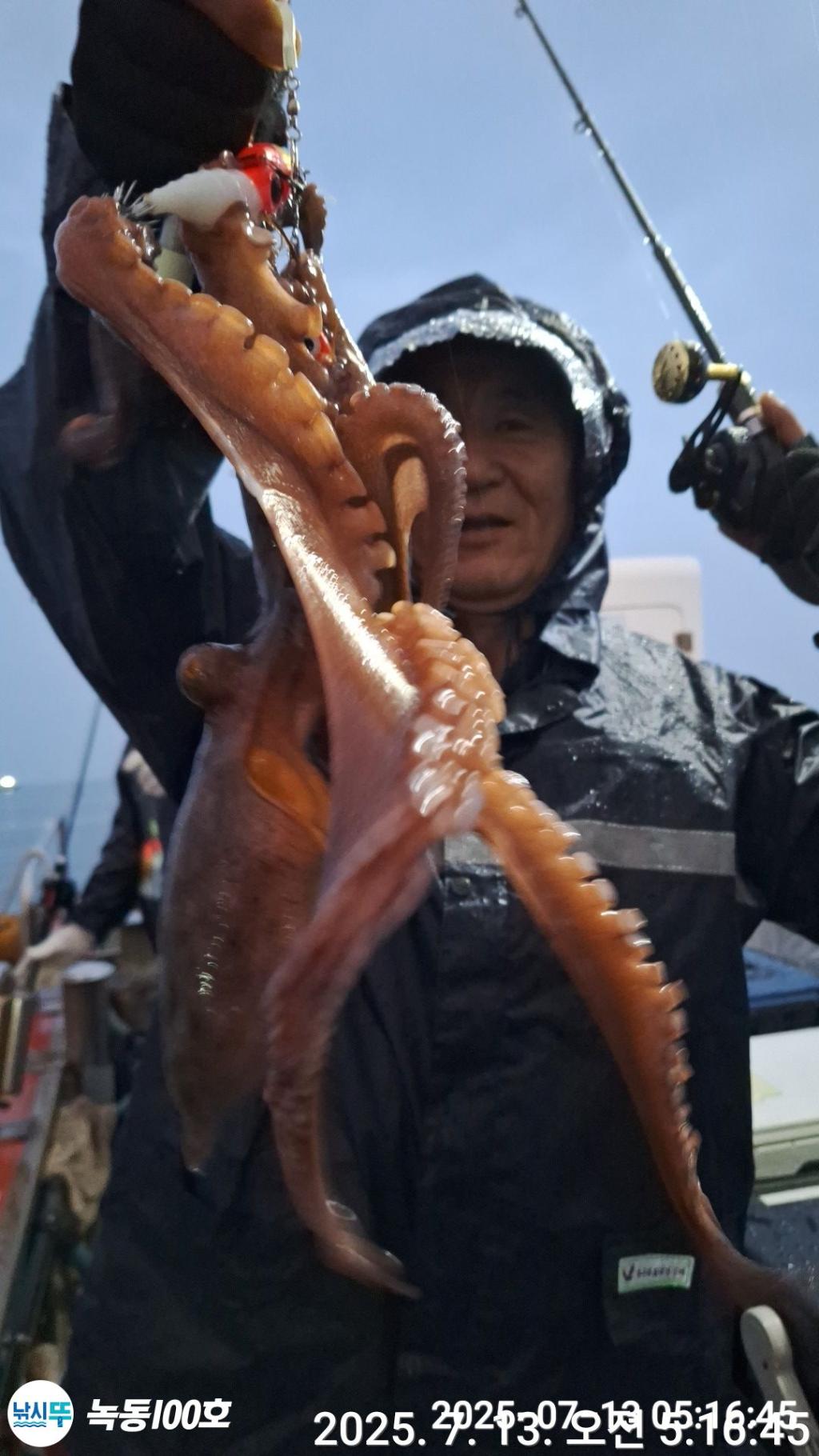 낚시뚜,돌문어,녹동항,녹동100호,낚시뚜20