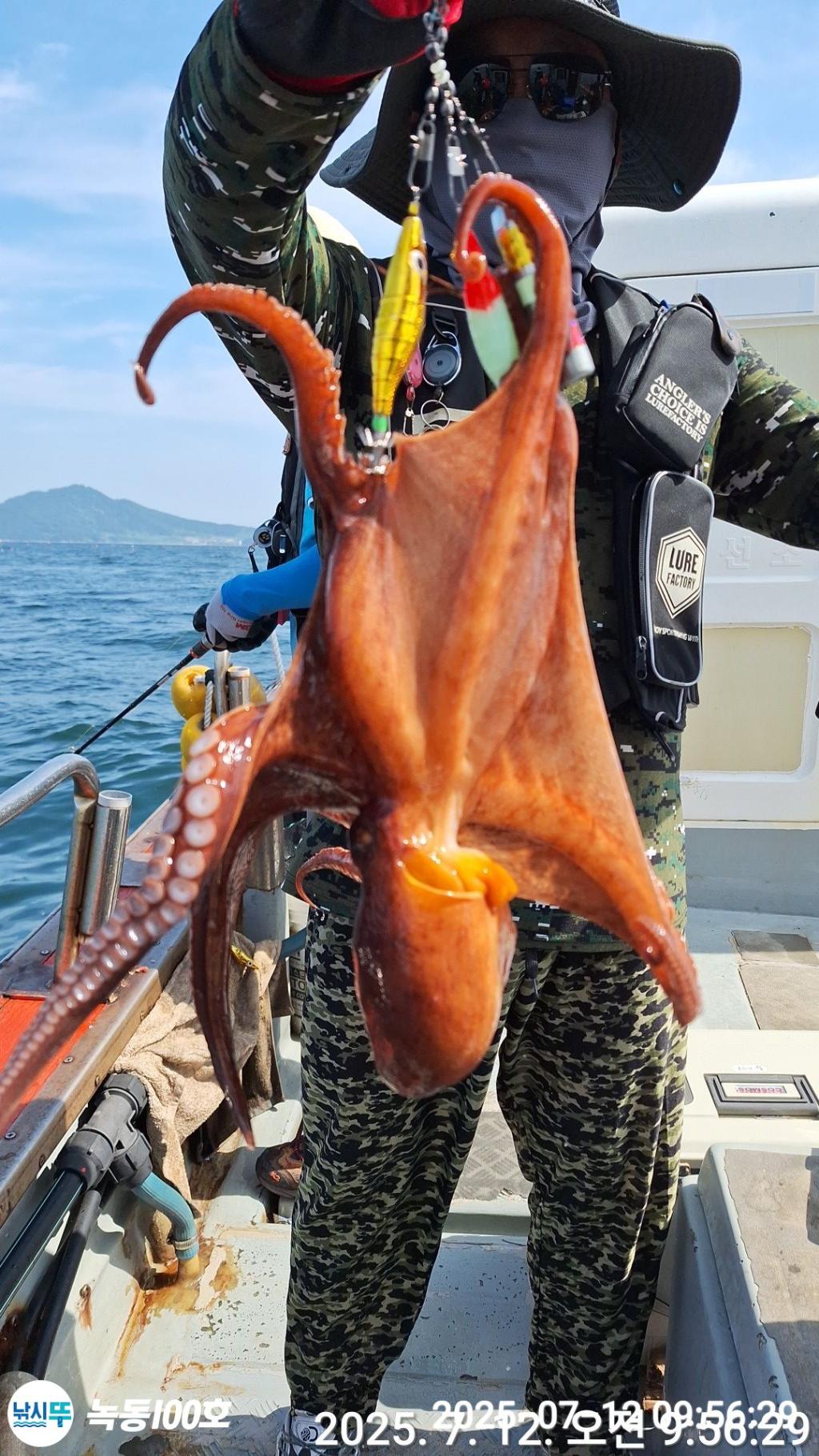 낚시뚜,돌문어,녹동항,녹동100호,낚시뚜7