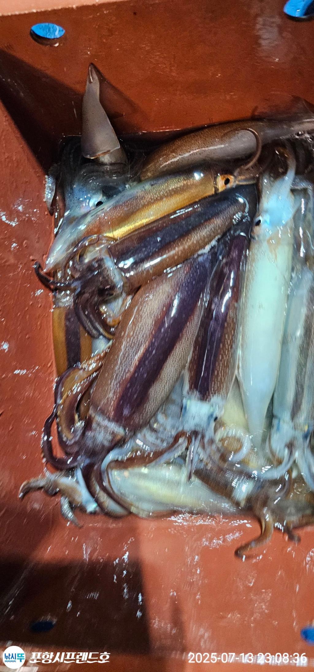 F2725460G0.jpg