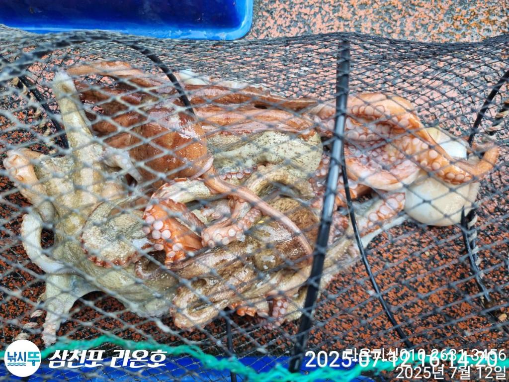 F27256704D.jpg