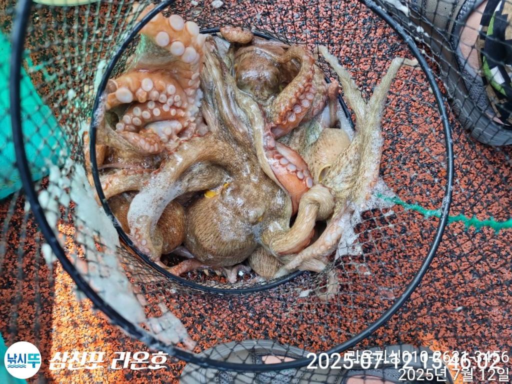 F2725671AB.jpg