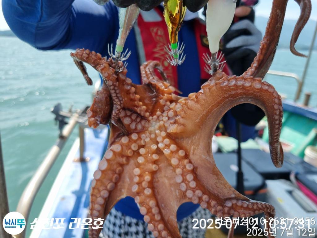 F272567584.jpg