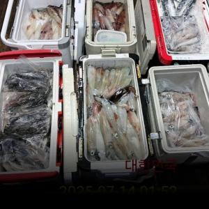 조황, 한치 이만큼!~오늘 8자리!!~선비10만원(5시출발)