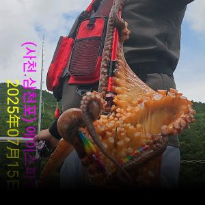 조황