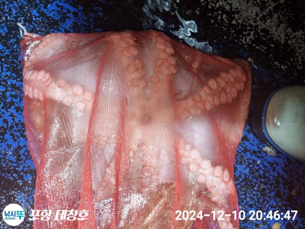 F27263277T.jpg