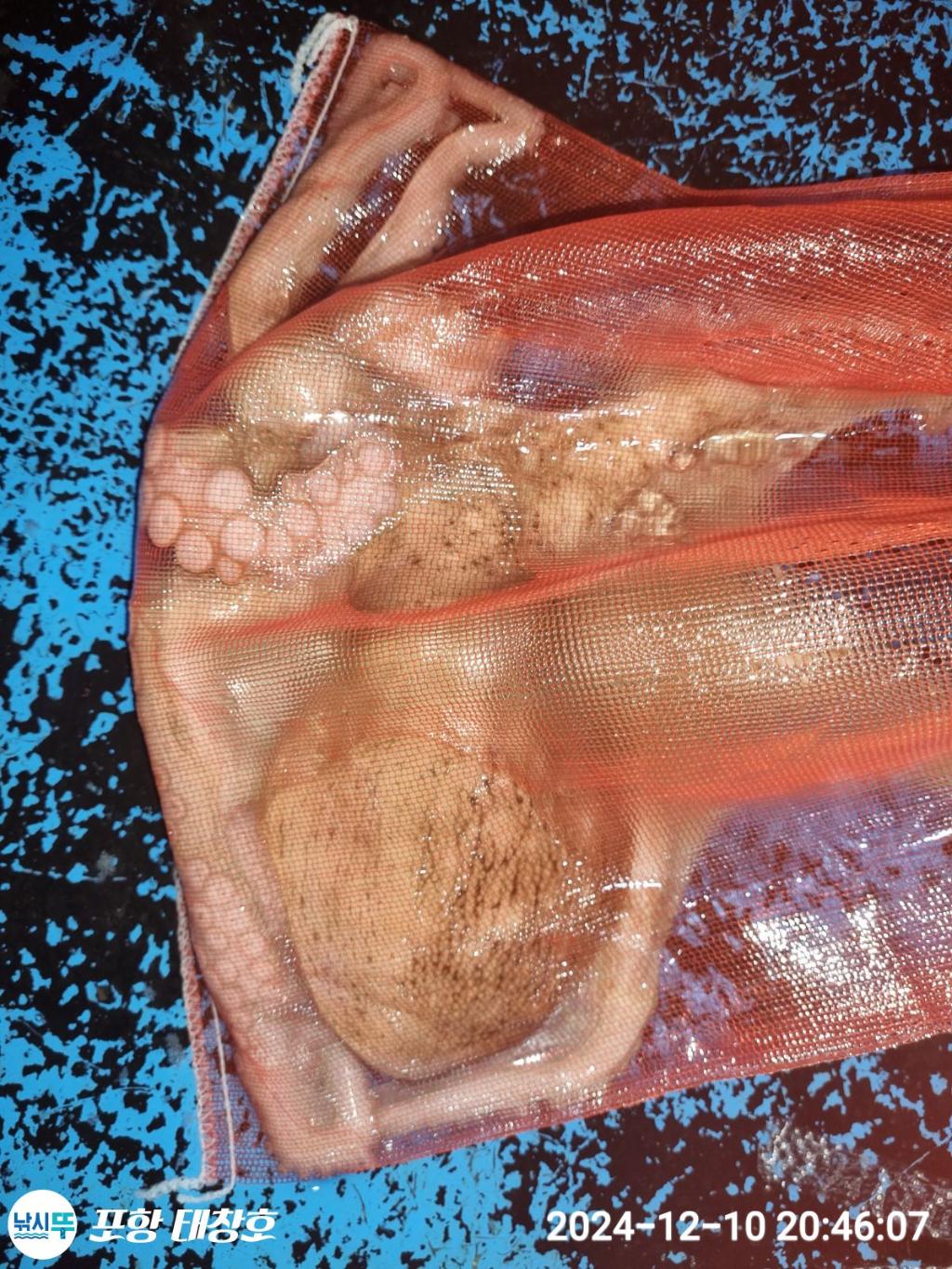 F2726329ZP.jpg