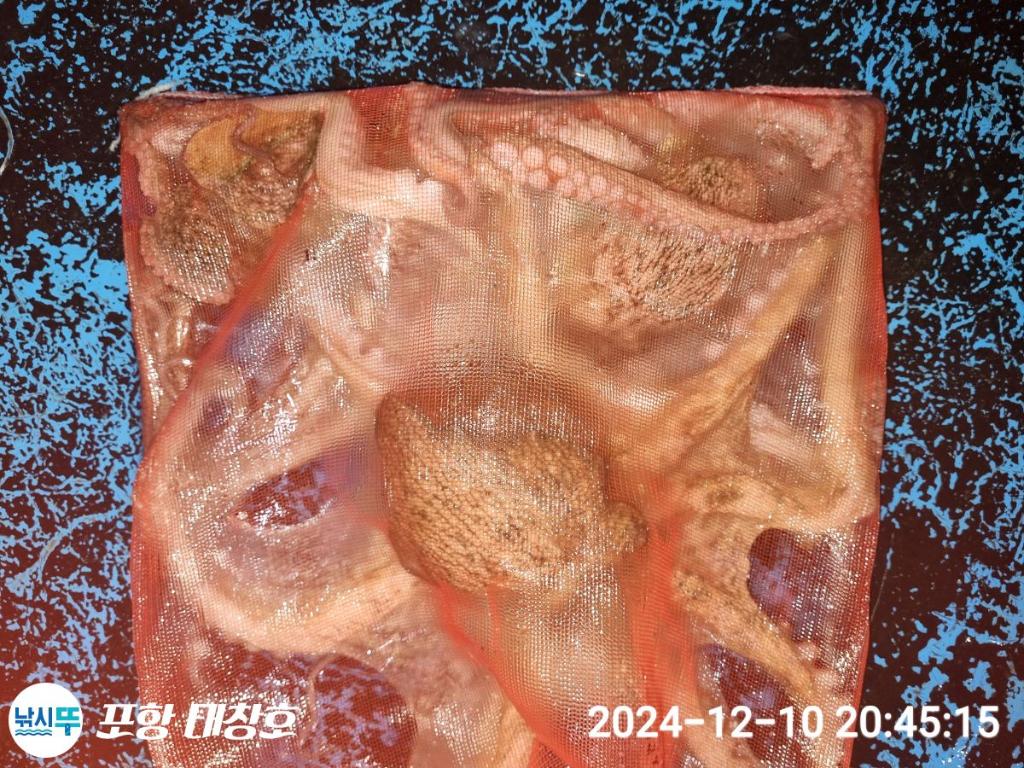 F2726333QY.jpg