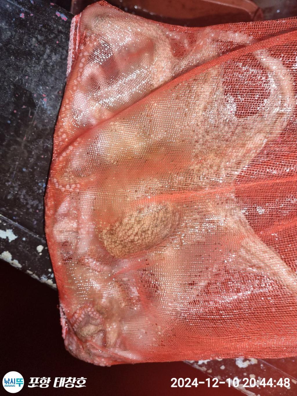 F2726334BU.jpg