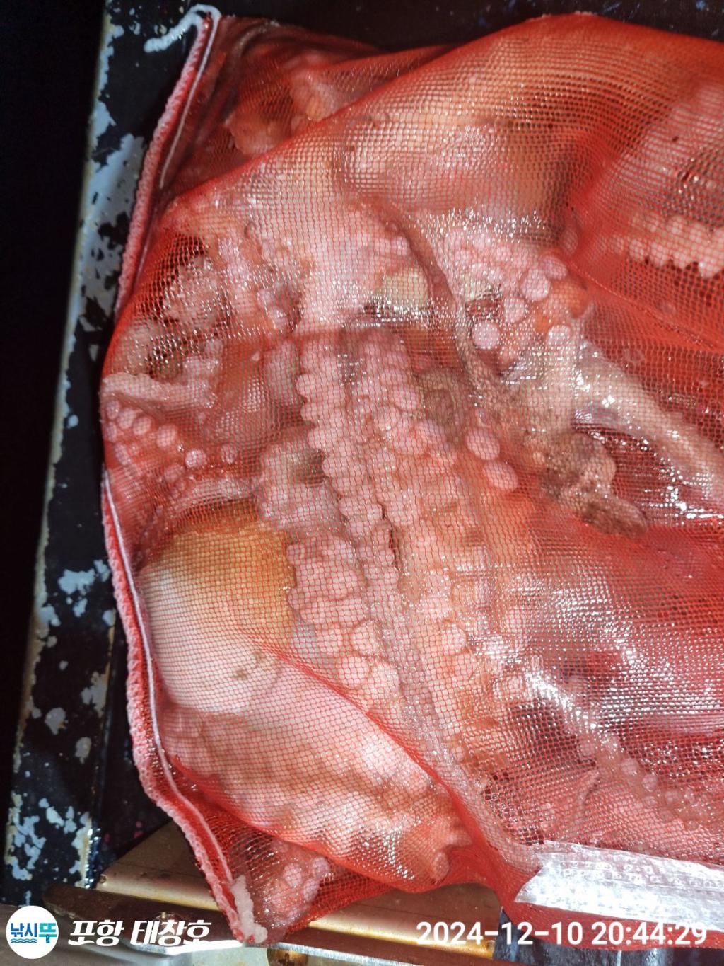 F272633528.jpg