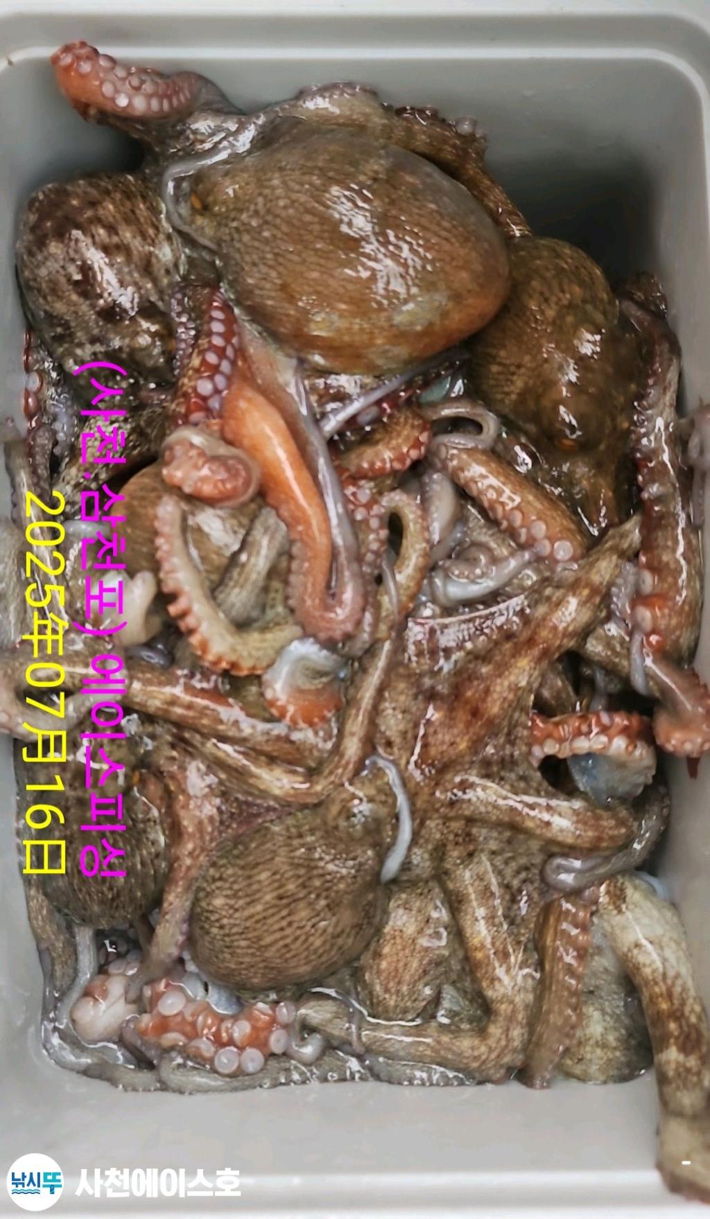 F272668606.jpg