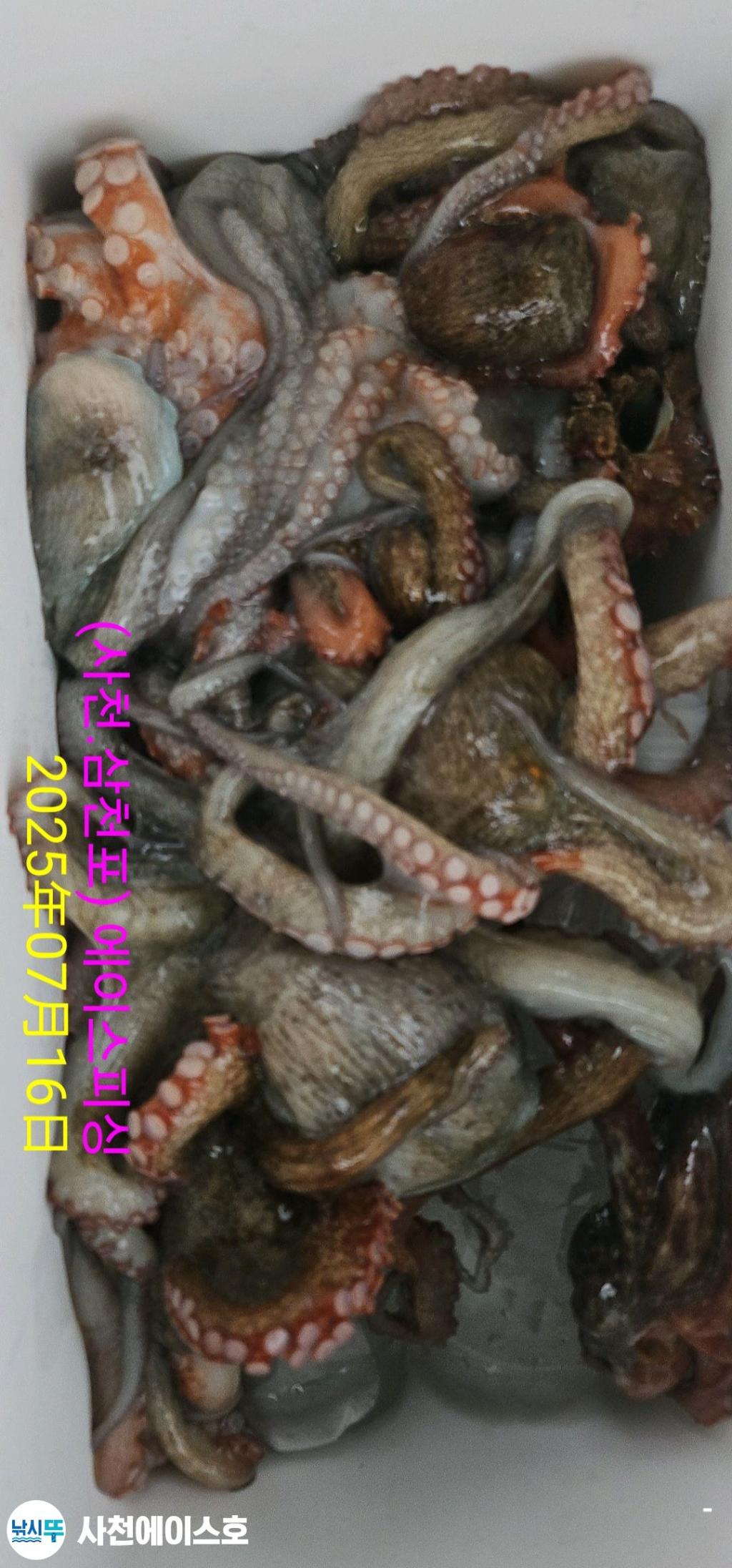 F2726688UL.jpg