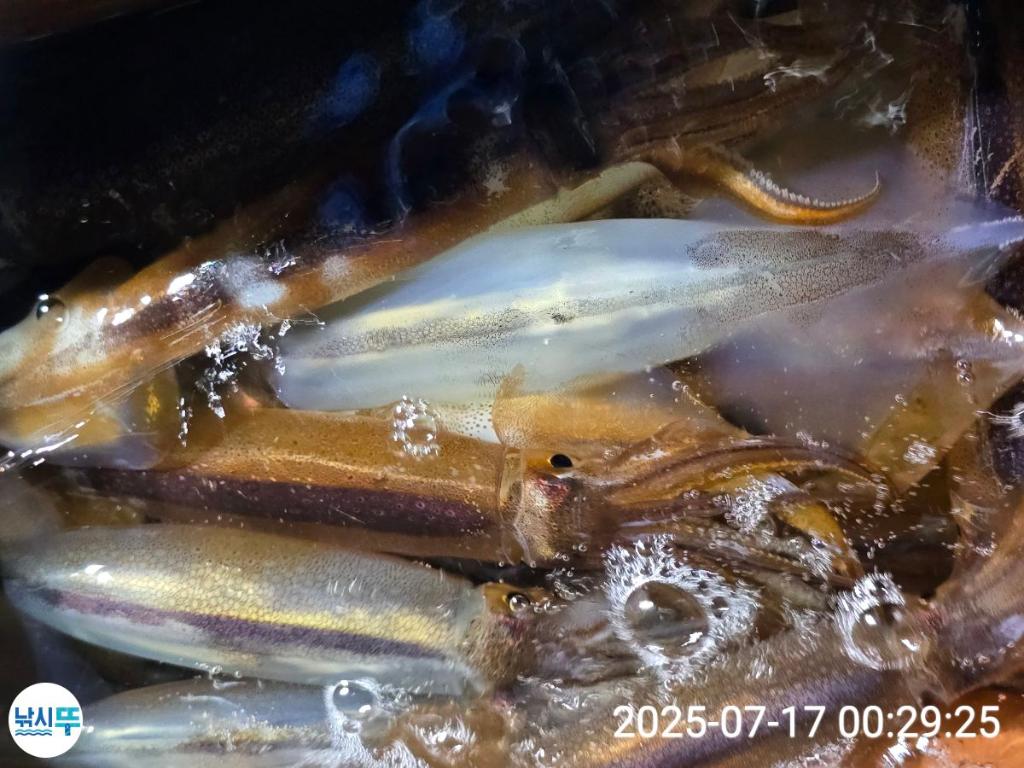 F2727174SC.jpg