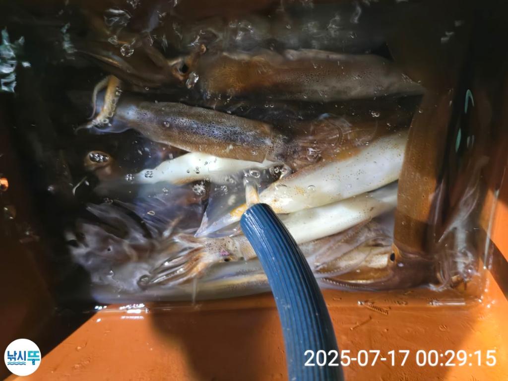 F2727175UZ.jpg