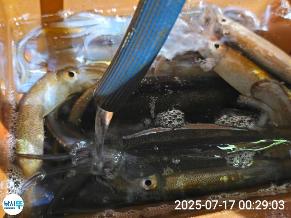 F2727177X5.jpg