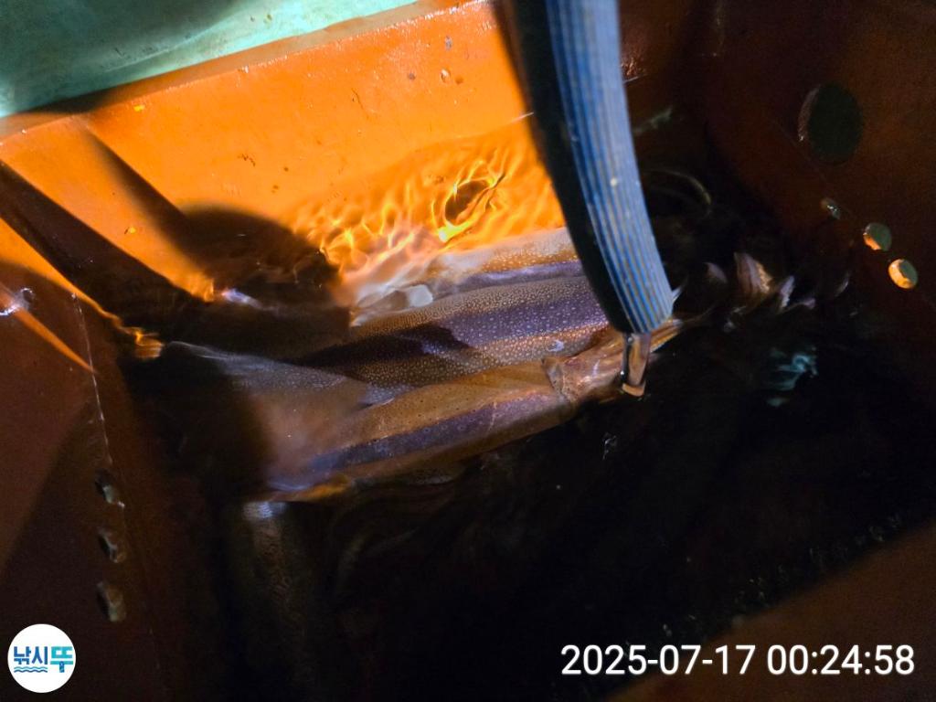 F27271862B.jpg