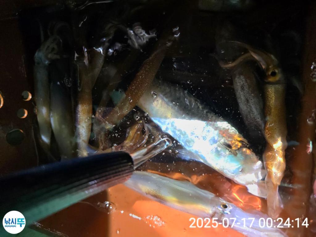 F2727190TO.jpg
