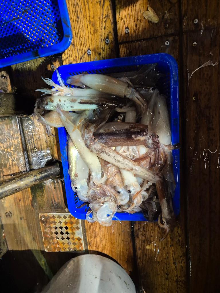 F2727356V0.jpg