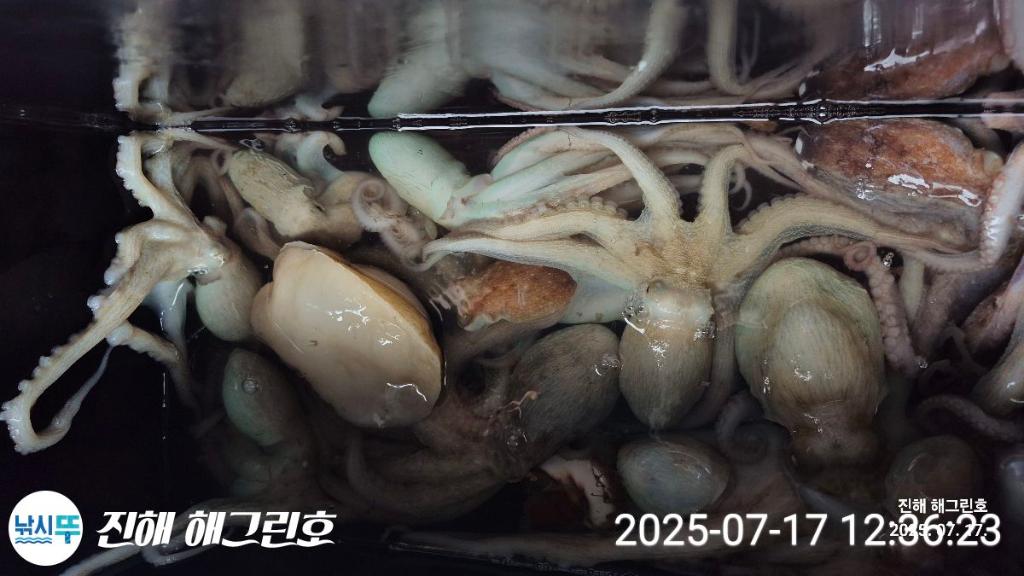 F272743772.jpg