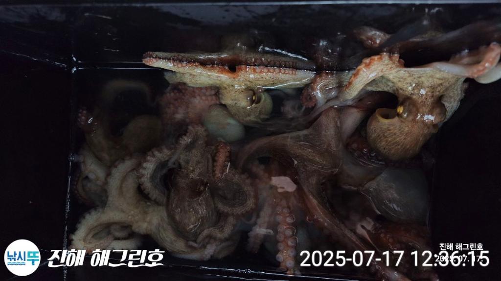 F2727438TB.jpg