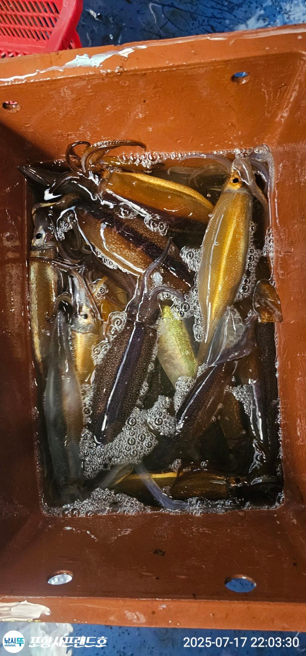 F2727605VM.jpg