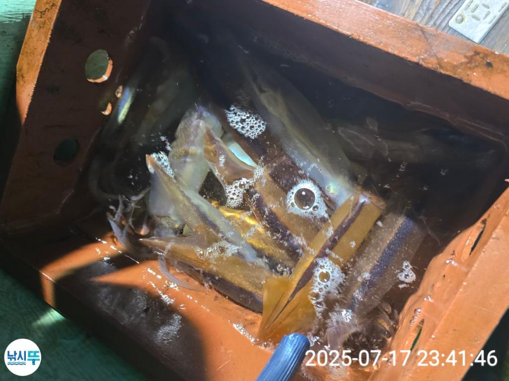 F2727787PG.jpg