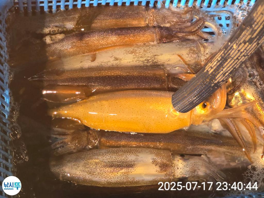 F2727792GR.jpg