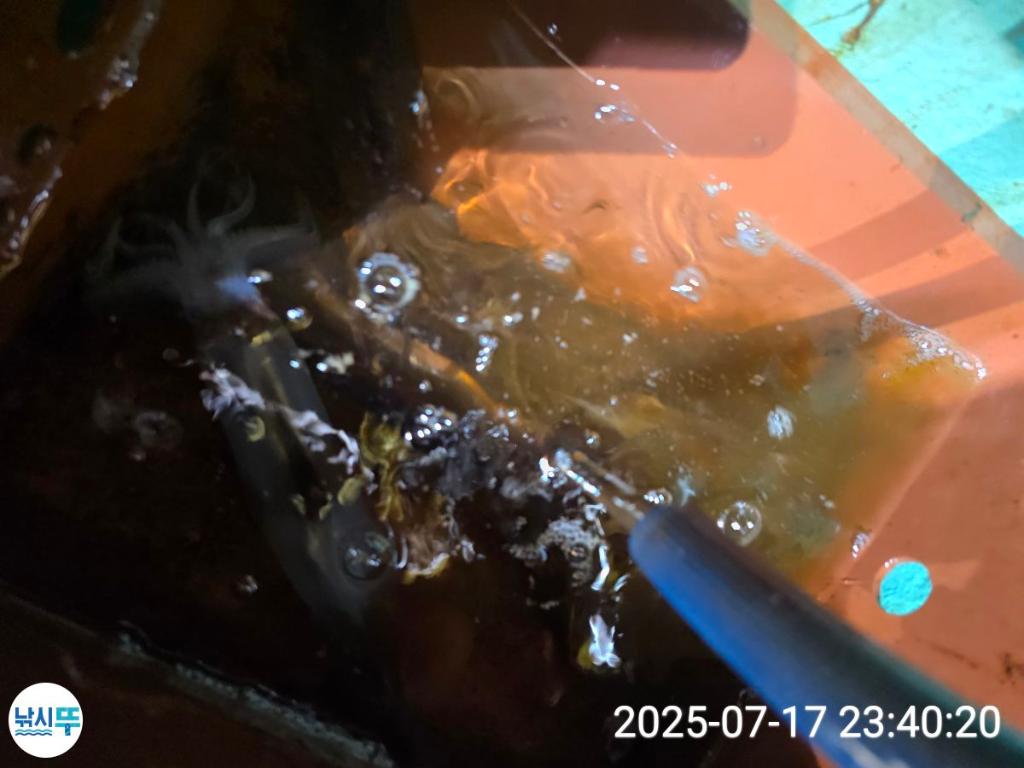 F2727793NH.jpg