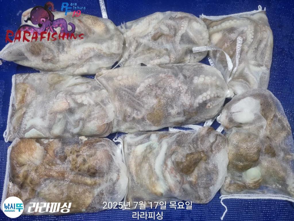 F2727827RM.jpg