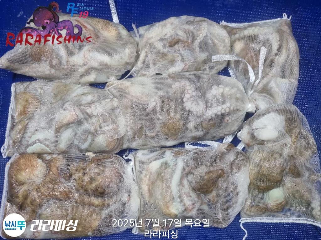F2727828XM.jpg