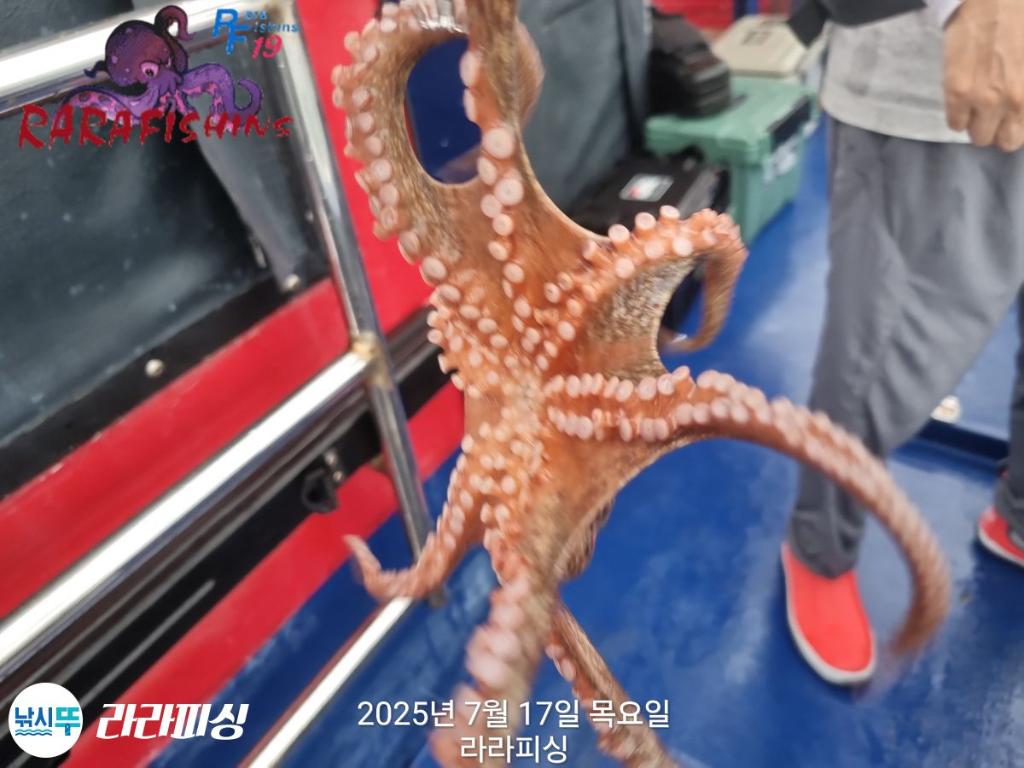 F2727842FD.jpg
