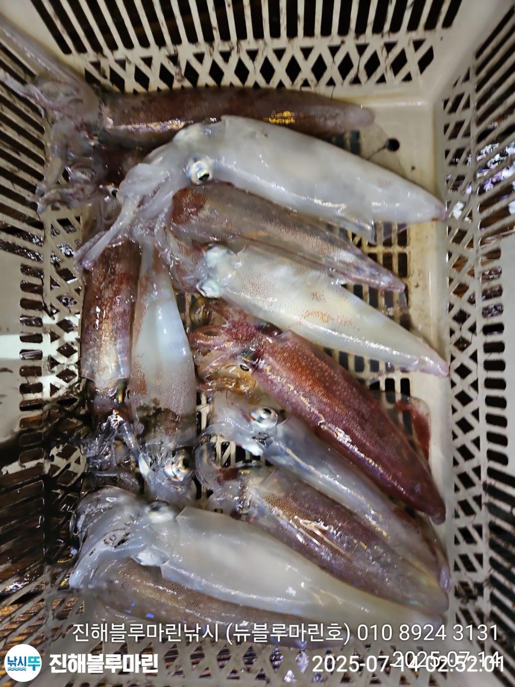 F2727906HD.jpg