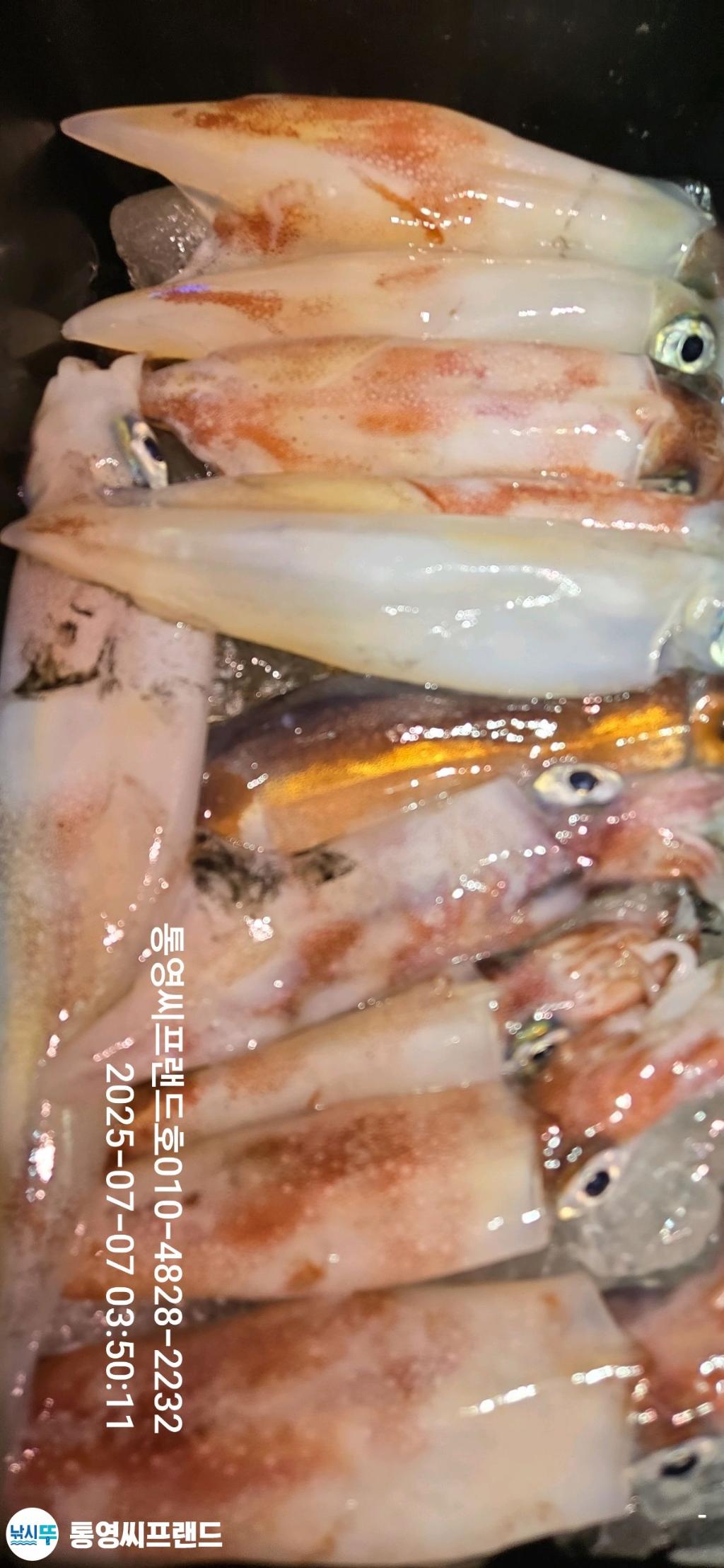 F27280764C.jpg