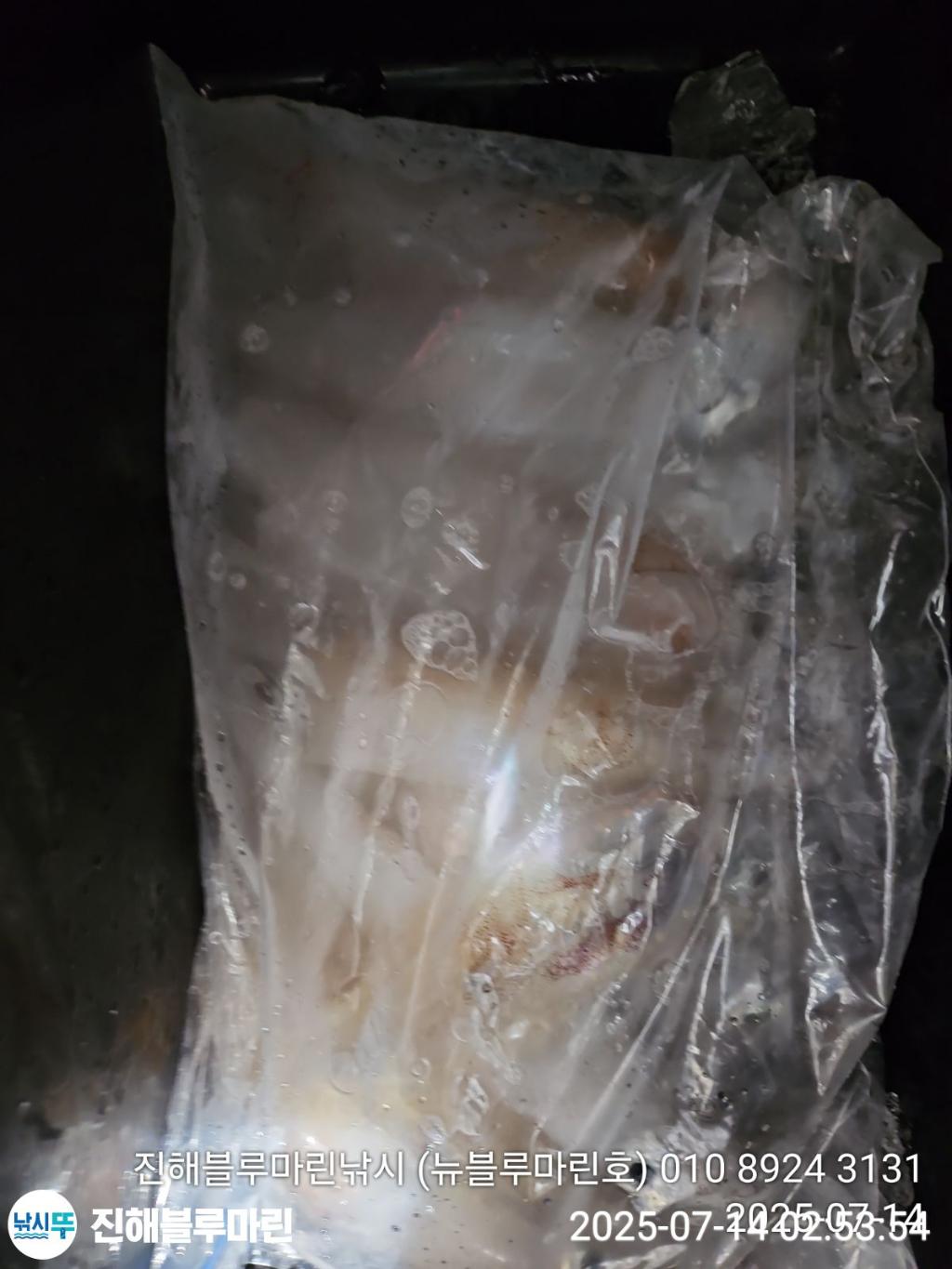 F272810190.jpg
