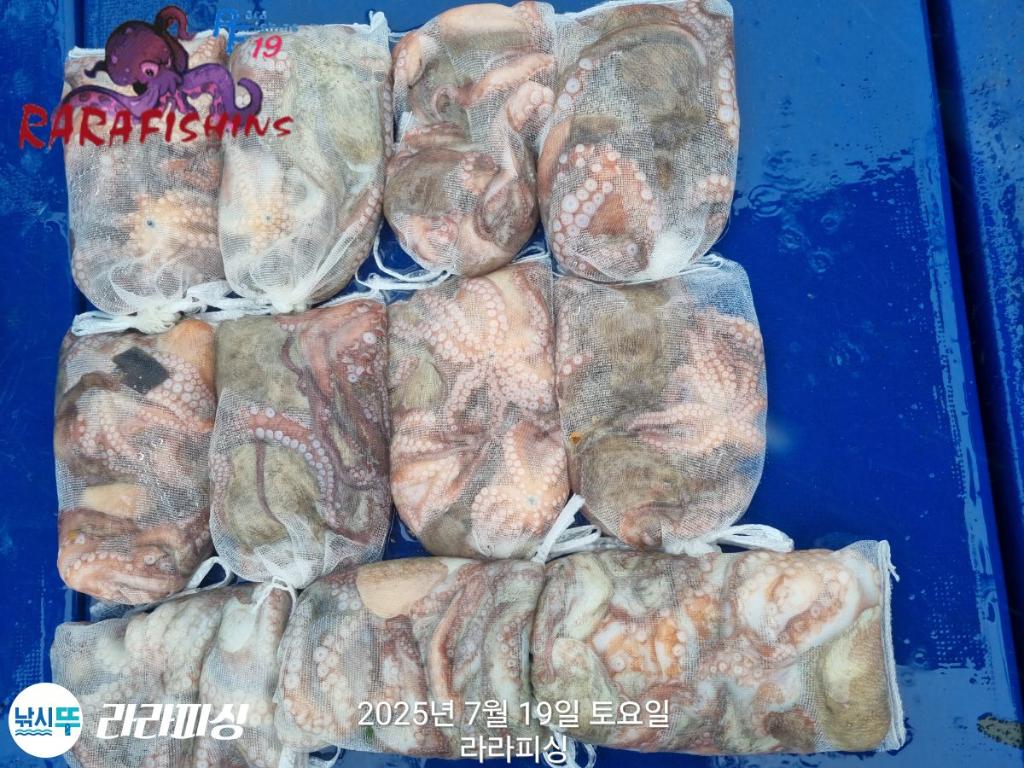 F2728250CN.jpg