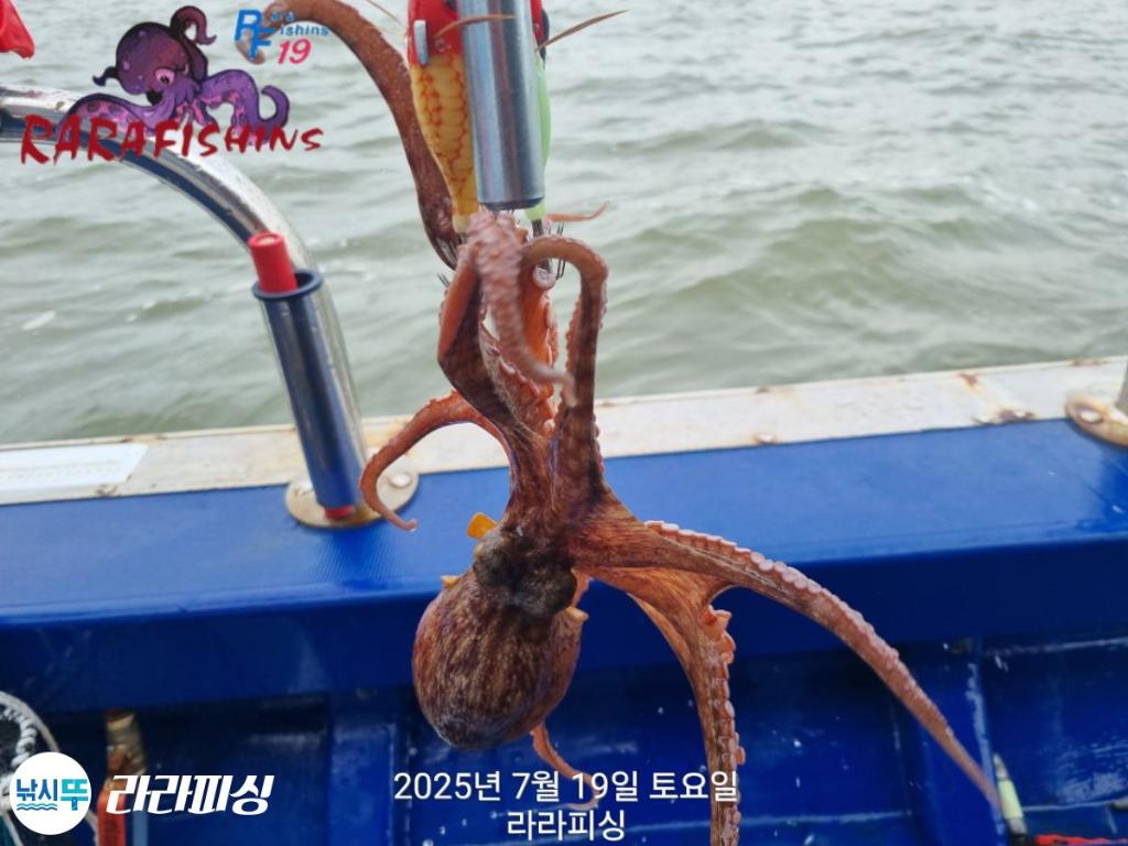 F27283557L.jpg