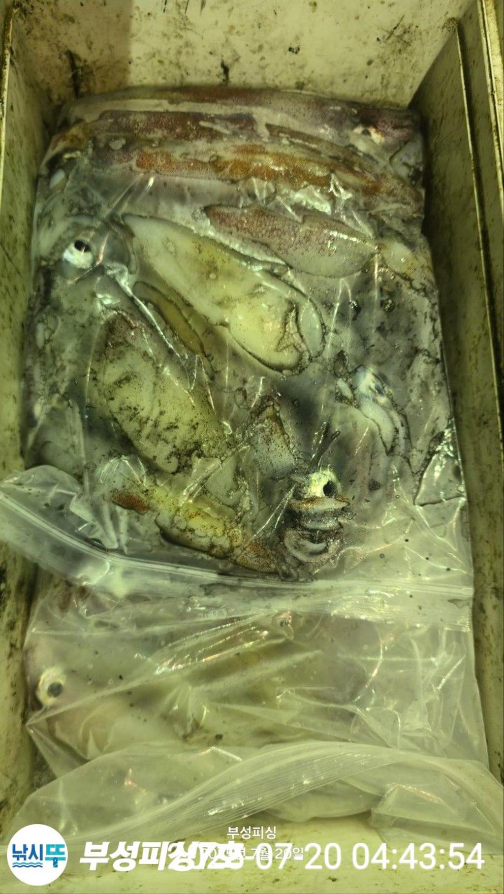 F27284504X.jpg