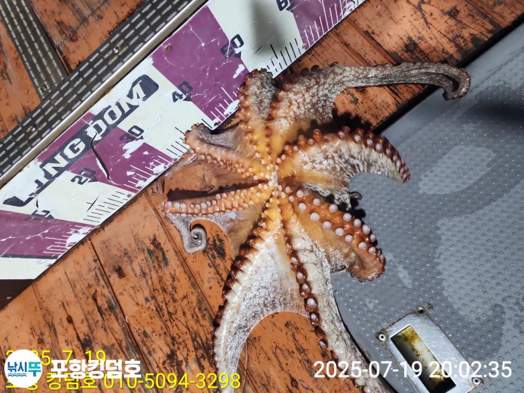 F27284965R.jpg