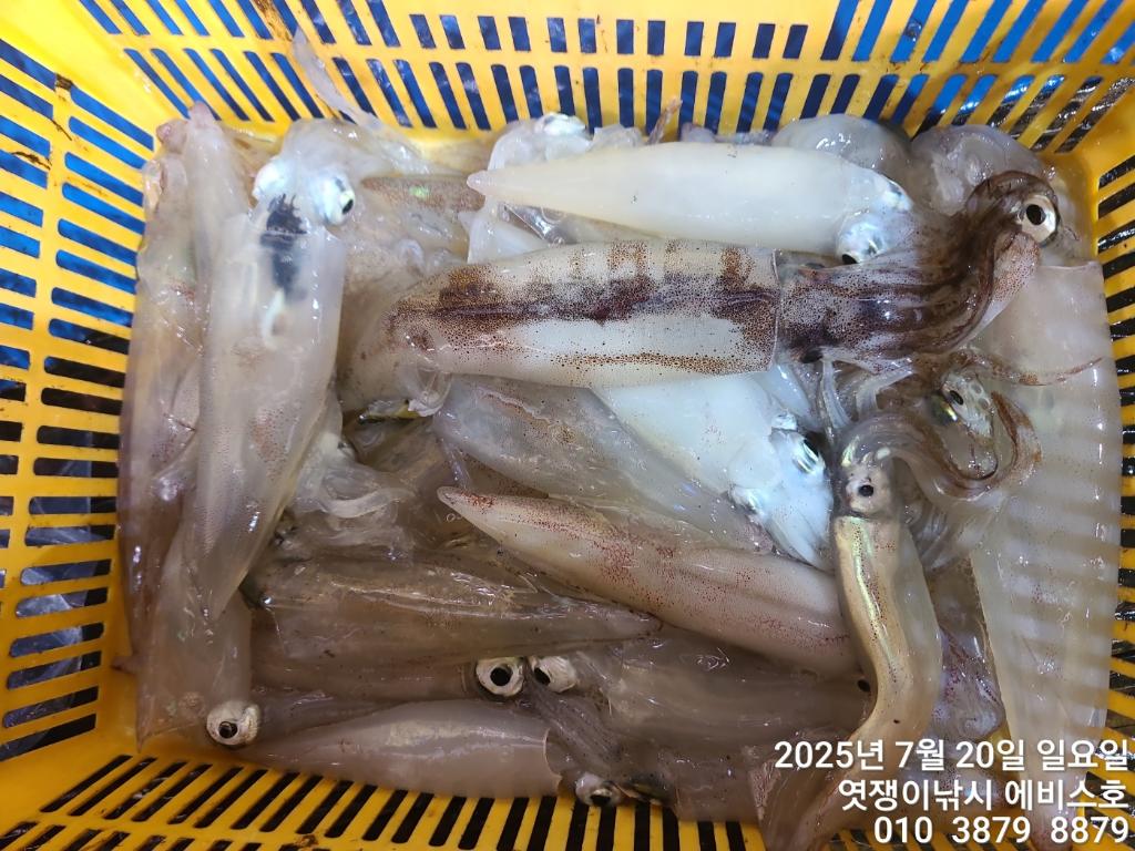 F2728544A8.jpg