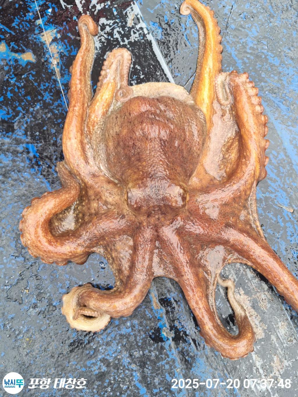 F2728643ZC.jpg