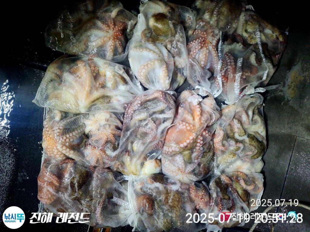 F2728680SG.jpg
