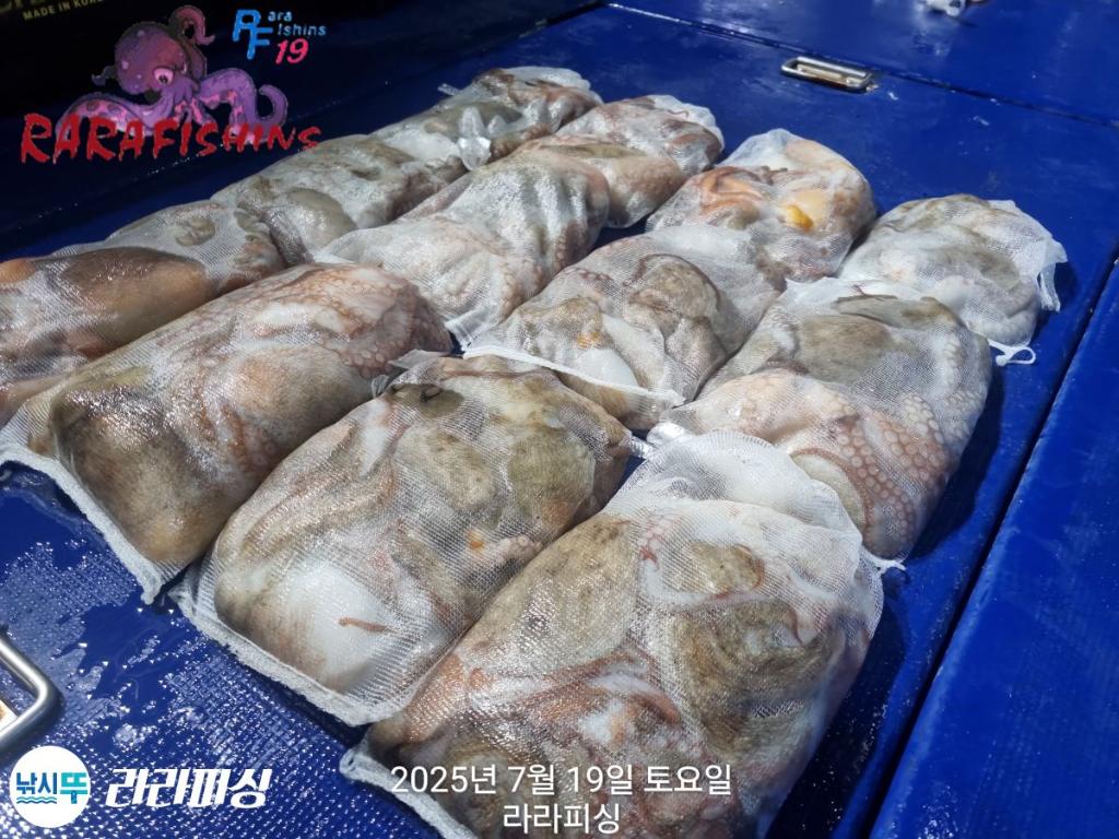 F272877468.jpg