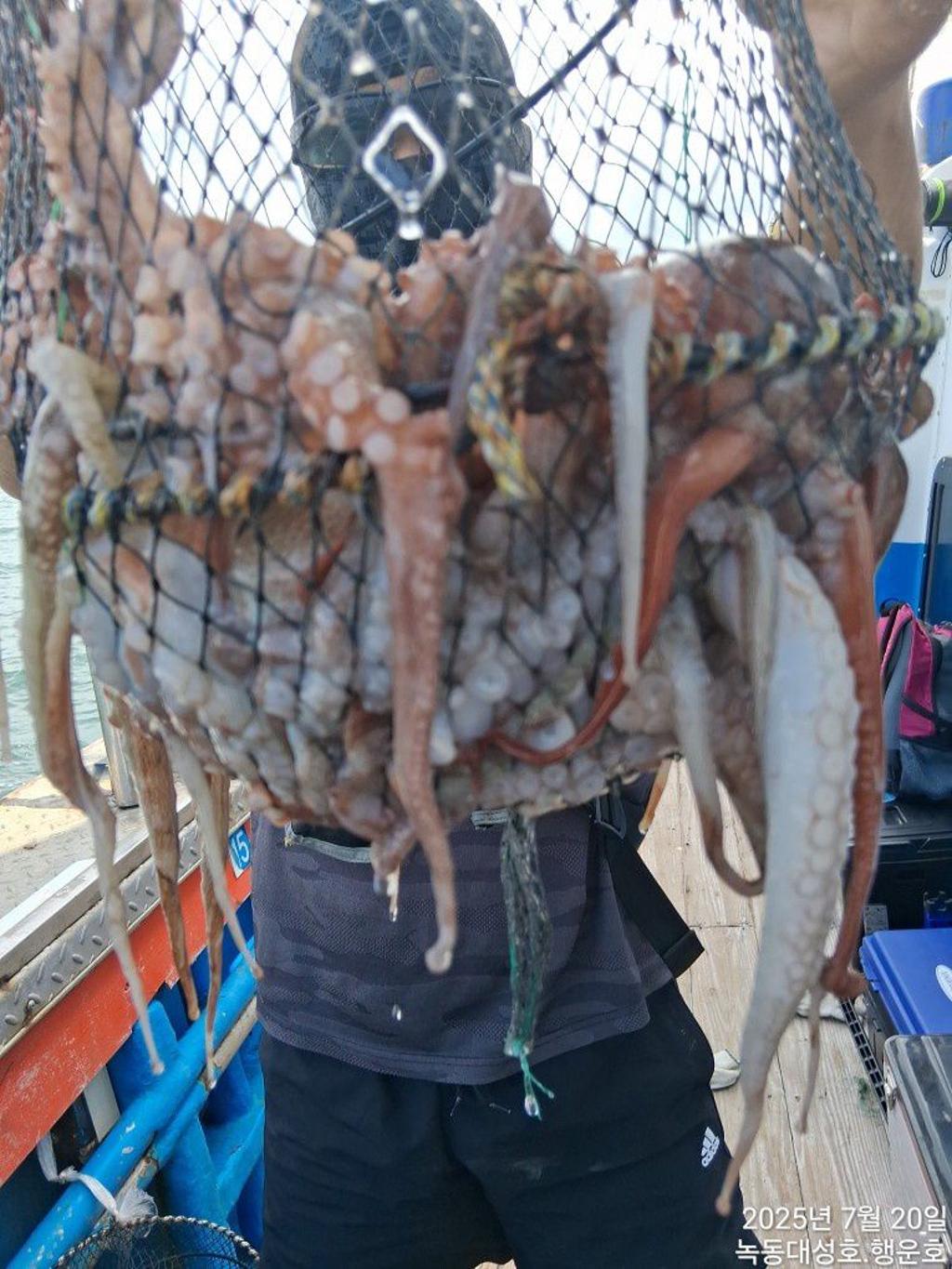 낚시뚜,돌문어,녹동항,녹동대성호,낚시뚜36