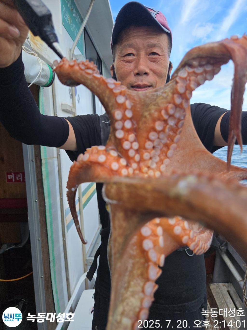 낚시뚜,돌문어,녹동항,녹동대성호,낚시뚜28