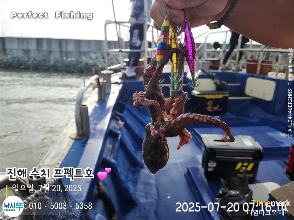 F27291287D.jpg